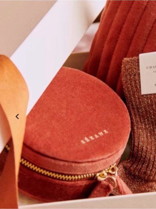 Sezane Handbags - Sezane Dark Blush Jewelry Case NWT